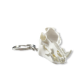 Feral Hog Skull Keychain