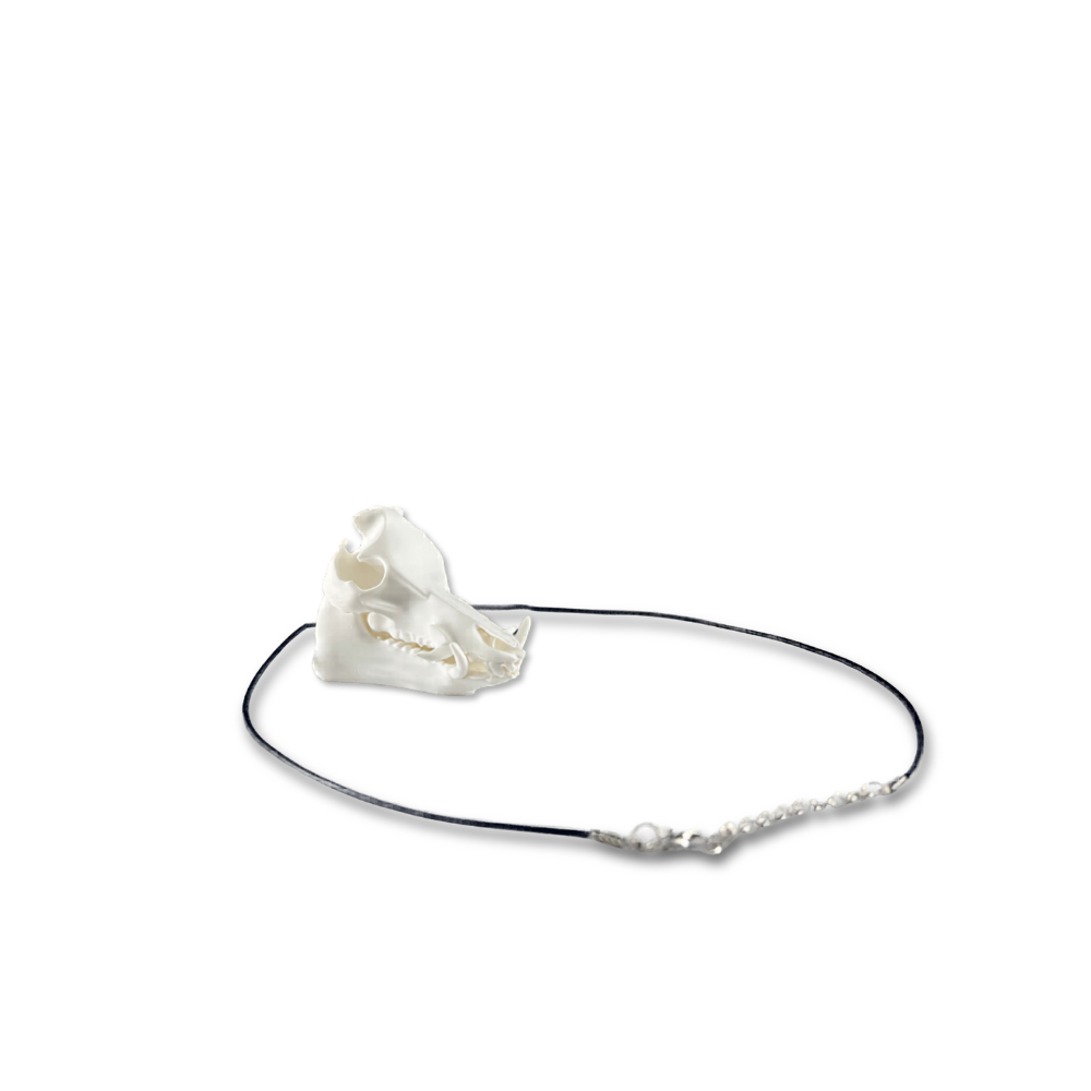 Feral Hog Skull Mirror Hanger