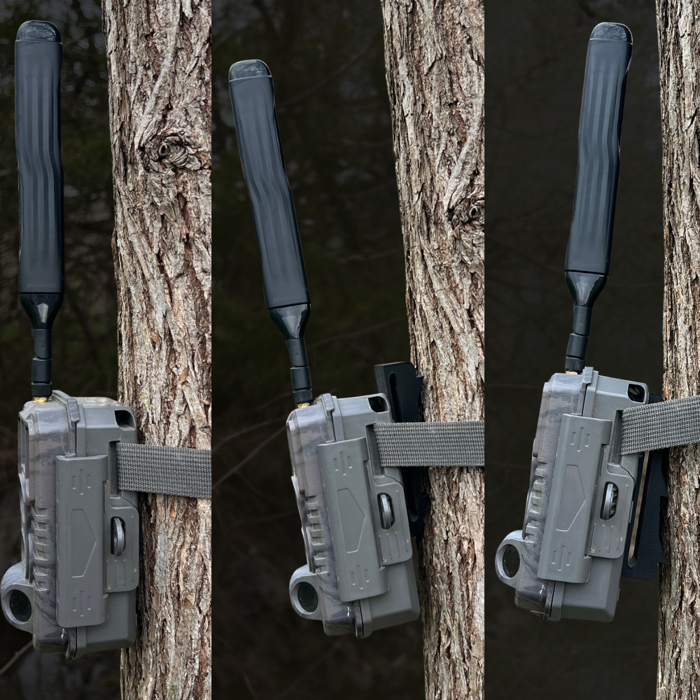 Trail Camera Wedge