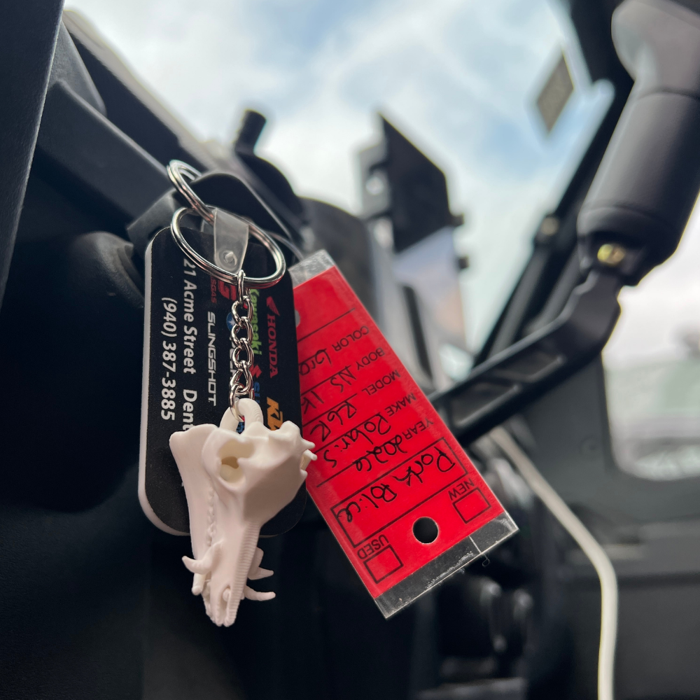 Feral Hog Skull Keychain