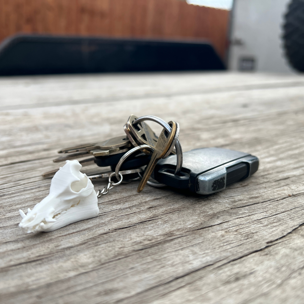 Feral Hog Skull Keychain
