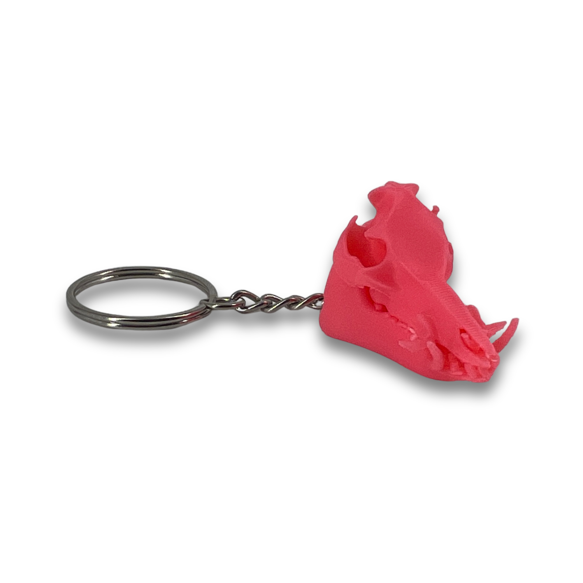 Feral Hog Skull Keychain