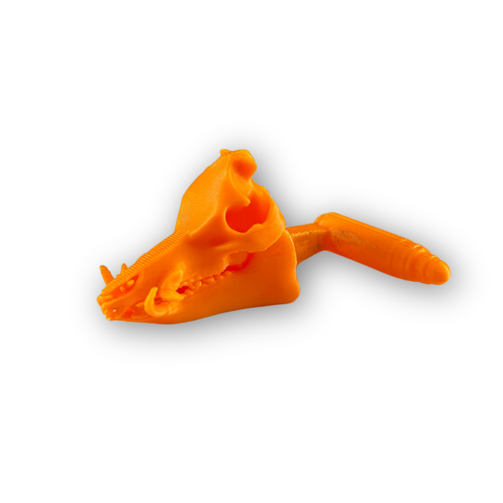 Hog Skull Chamber Flag