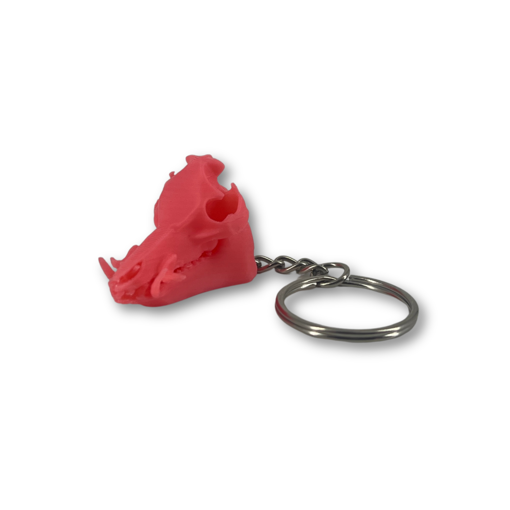 Feral Hog Skull Keychain