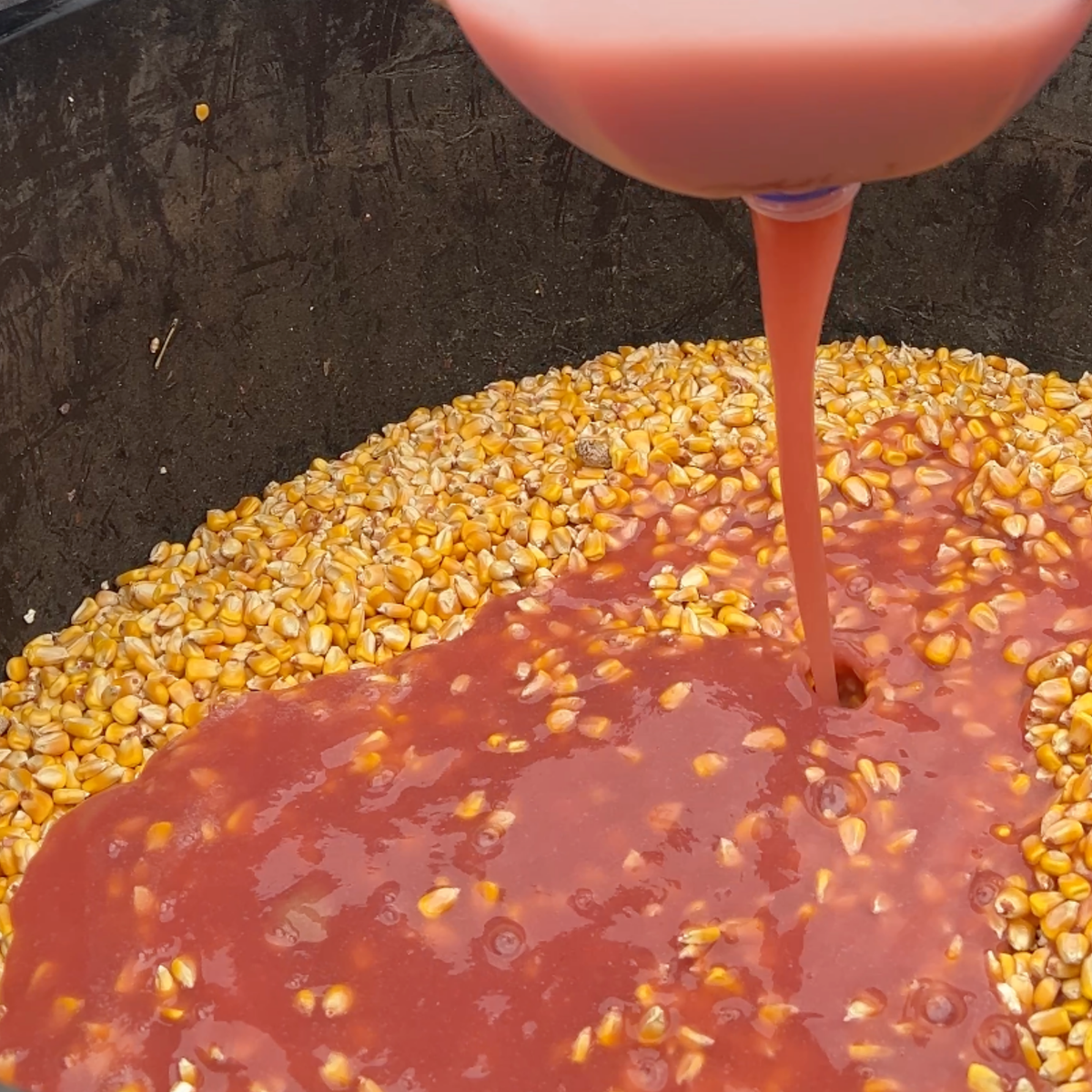 Mezcla de atrayente de vida silvestre cereza dinamita